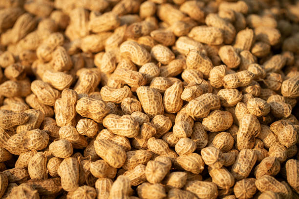 Groundnuts peanuts